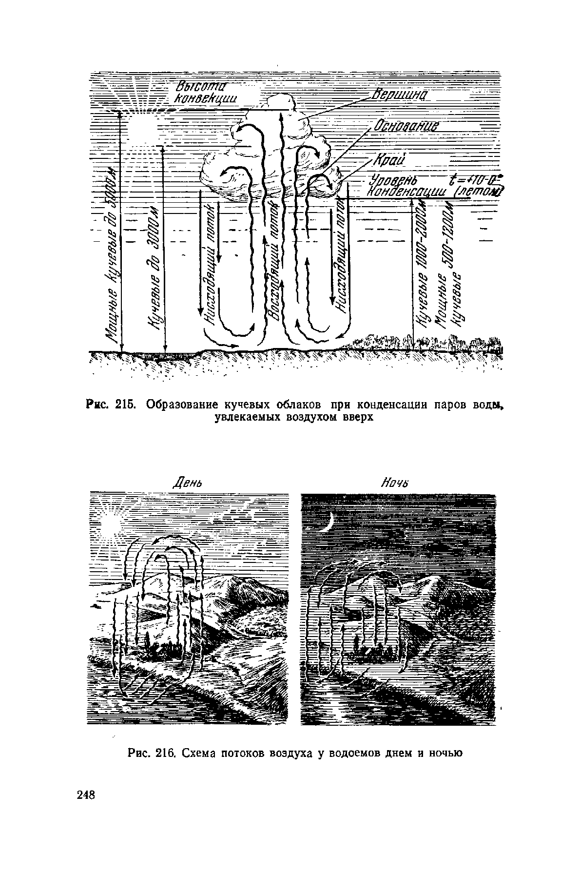 cтр. 248