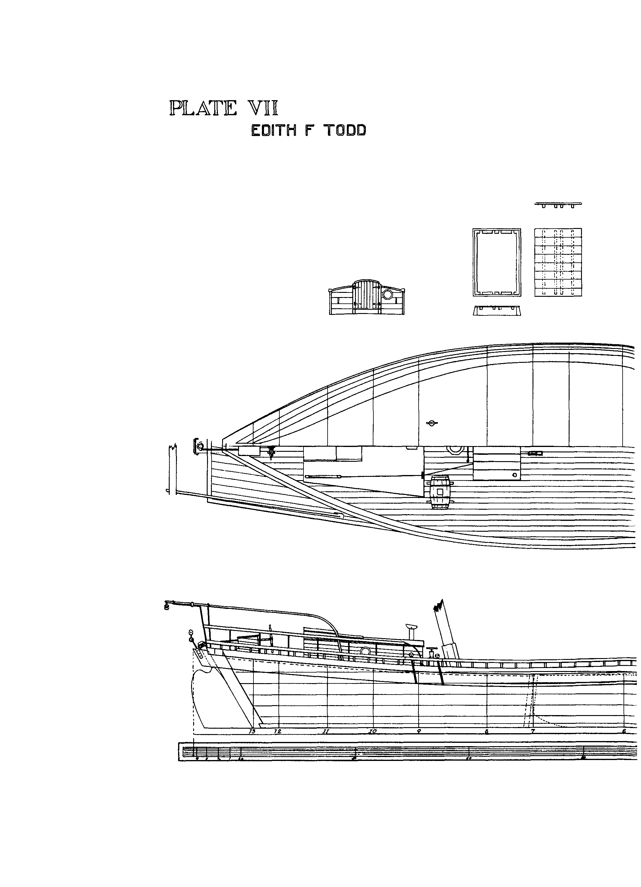 Plate 7